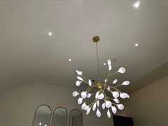 -佬肥猫(七宝宝龙店)