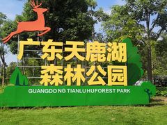 -天鹿湖森林公园
