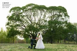 -北遇映画PHOTO GRAPHY STUDIO