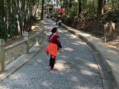 -灵岩山风景区