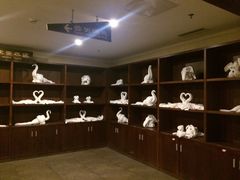 -森波拉火山温泉