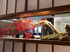 -牛New寿喜烧(新六百店)