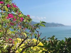 -芽庄珍珠岛游乐园