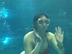 -福州罗源湾海洋世界旅游区