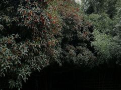 -西安市长乐公园