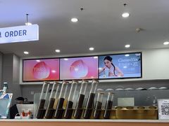 -雾与山茶(大禹城店)