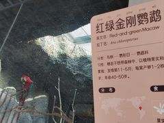-武汉动物园