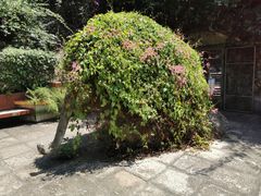 -鸿山公园