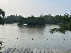 -江心屿景区