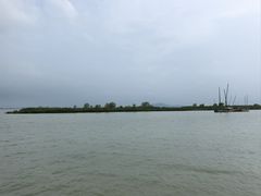 -新木器时代餐厅(太湖新天地店)