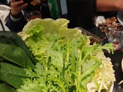 -大白羊蝎子馆(后沙峪山姆店)