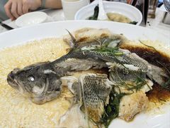 -万圣禄茶楼(西平店)