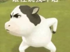 -猪脑壳凉面(南正街店)