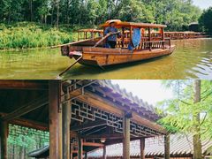 -溱湖国家湿地公园