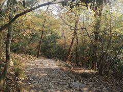 -紫金山天文台