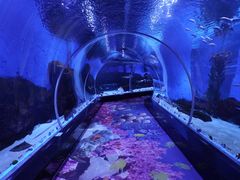 -顺德南宏海立方海洋公园