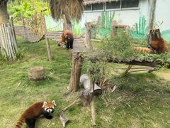 -泉州海丝野生动物世界