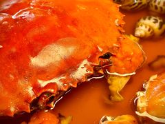 陈年花雕膏蟹醉花螺-梅花境(万科店)