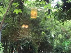 -旅马餐厅(茅家埠店)