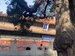 -北京国子监胡同