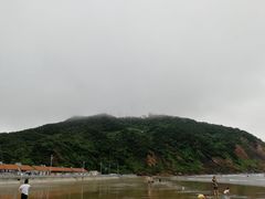 -大鹿岛