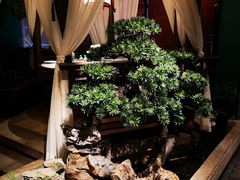 -佬麻雀·剁椒鱼头(京基KK One店)