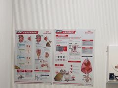 -守诺宠物医院·眼科· 特色牙科·异宠专科(虹口店)