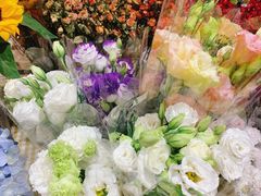 -AEON永旺(东方宝泰店)