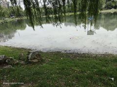 -堤角公园