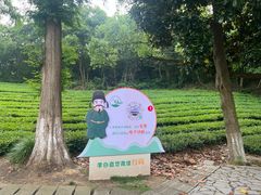 -敬亭山风景名胜区