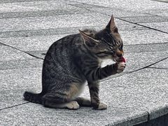 -板樟山森林公园