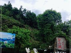 -广州白江湖森林公园