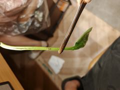 -喜家自助小火锅(乐客城店)