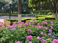 -常州古运河南大街文化旅游区-人民公园