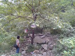 -龙洞风景区-藏龙涧