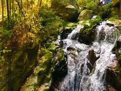 -藏龙百瀑风景区