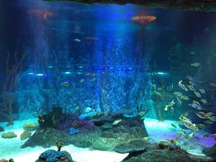 -沈阳海洋探索中心