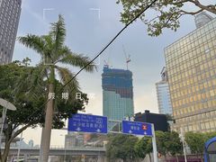 -星光大道