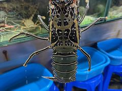 -班赞海鲜市场