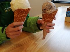 -Patagonia Chocolates(皇后镇店)