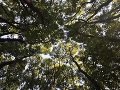-艾溪湖湿地公园