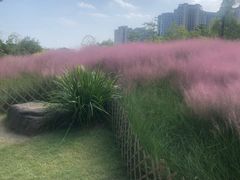 -牛岗山公园