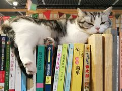 -小时光咖啡馆(开森度假森林店)