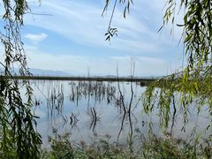 -野鸭湖国家湿地公园