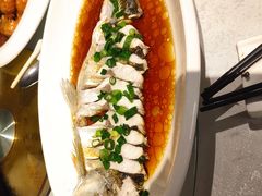 -金美华轩(东方路齐鲁店)