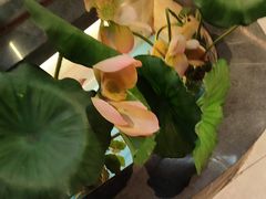 -客家班·客家菜(嘉禾金铂店)