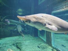 -华夏文旅西安度假区