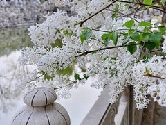 -莲池书院博物馆