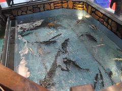 -鱼痴渔醉·食鲜集(月亮湾店)