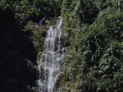 -鼎湖山风景区